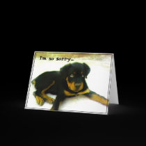 I'm sorry Rottweiler puppy greeting card by ritmoboxer I'm sorry Rottweiler puppy greeting card