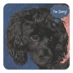 I'm Sorry Sticker