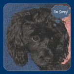 I'm Sorry Sticker