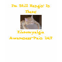 I'm Still Hangin' In There!, Fibro... t-shirts by pammys I'm Still Hangin' In There!, Fibro... t-shirts