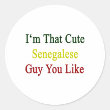 I'm That Cute Senegalese Guy You Like Round Stickers