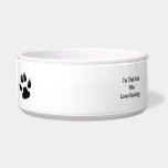 I'm That Geek Who Loves Sociology Pet Food Bowl
