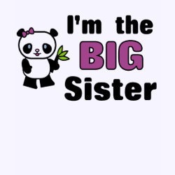 I'm the Big Sister shirt