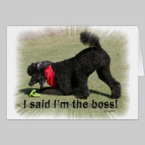 I'm The Boss cards