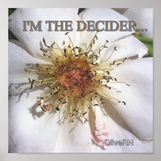 I'M THE DECIDER... POSTER