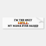 I'm the only Hell my moma ever raised! Bumper Sticker