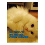 I'm too cute Postcard postcards