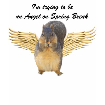 I'm Trying on Spring Break_ T-Shirt by ELENNE