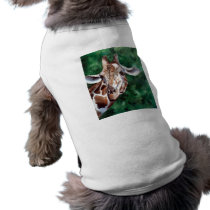 I'm Up HereGiraffe Pet Clothing pet clothing by bmthour I'm Up HereGiraffe Pet Clothing pet clothing