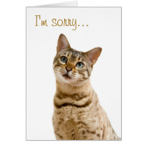 I'm very sorry, please forgive me cards