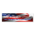 I'm Voting For Sarah Bumper Sticker bumper stickers