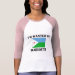 Ladies 3/4 Sleeve Raglan (Fitted)