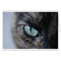 I'm Watching You - Card by daelanyi I'm Watching You - Card