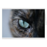 I'm Watching You - Card
