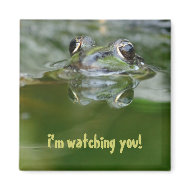 I'm watching you! fridge magnet magnet