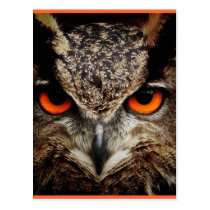 I'm Watching You! postcards