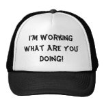 I'm Working What Are You Doing!