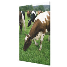 ima28991 gallery wrap canvas