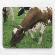 ima28991 mousepad
