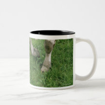ima28991 mug