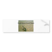 IMAG0173, Qucak Quack Quack Quack bumper stickers by jhdude4 IMAG0173, Qucak Quack Quack Quack bumper stickers