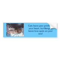 imag0310, Cats leave paw prints on your heart, ... bumper stickers by Kaidyns_mom imag0310, Cats leave paw prints on your heart, ... bumper stickers