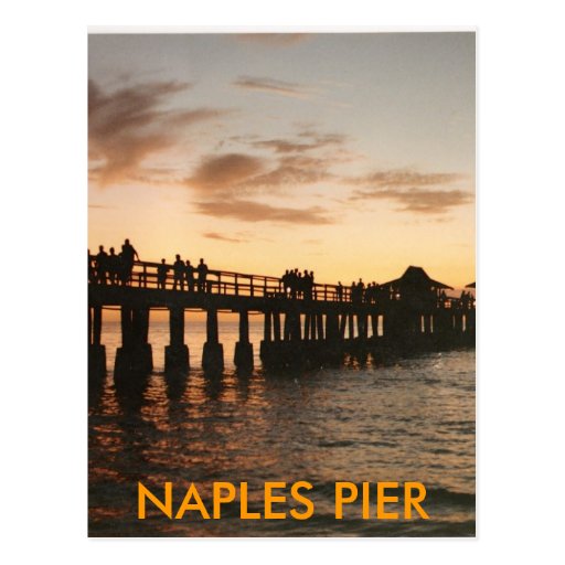 image08, NAPLES PIER Postcard Zazzle