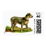 Image of Dog Postage