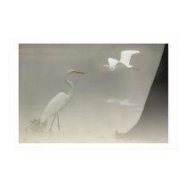 Image of Zen posters