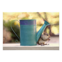Imagen linda del Chipmunk y de la regadera Foto