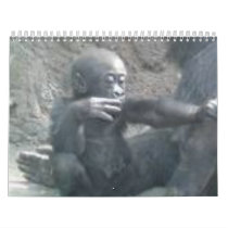 images8 calendars