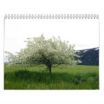 Images From America Wall Calendars
