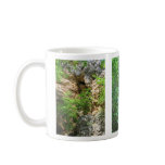 Images from Turner Falls mugs