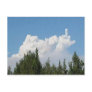 Images of a Suggestive Nature Postcard