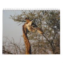 Images of South Africa Wall Calendars
