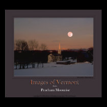 Images of Vermont poster posters