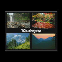 Images of Washington postcard postcards