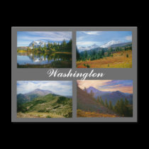Images of Washington postcard postcards