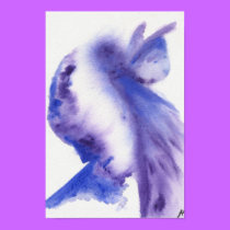 Images posters