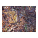 imagination flowing #2 print