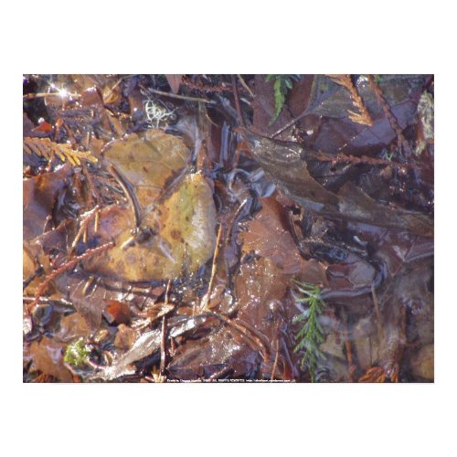 imagination flowing #2 print