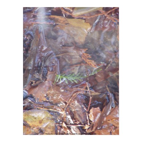 imagination flowing print
