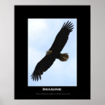 IMAGINE Bald Eagle Poster