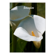 Imagine
