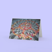 imagine cards by cardart imagine cards