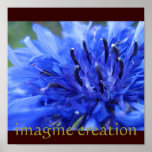 imagine creation posters