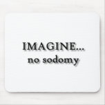 IMAGINE... no sodomy Mouse Pad