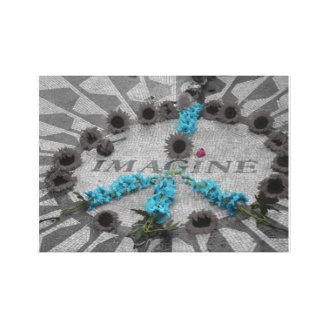 Imagine Stretched Canvas Print