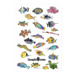ImaginOcean Cartoon Fish Art posters