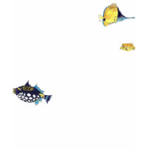 Imaginocean Dark Two Sided Cartoon Fish t-shirts